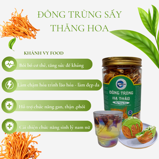 Đông Trùng Hạ Thảo — “Thần Dược” Tăng Cường Sức Khỏe Từ Thiên Nhiên